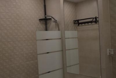 Apartament cu 2 camere semidecomandat, mobilat în Theodor Pallady - 6