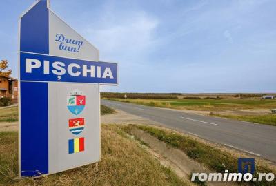 Teren de 19000 mp, în Pișchia