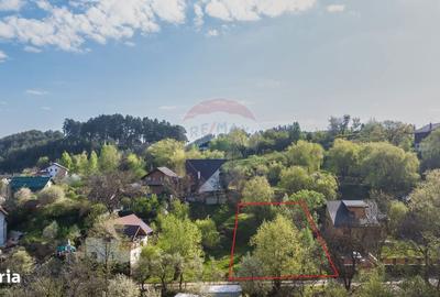 Spațiu comercial, în Turcheș - 3