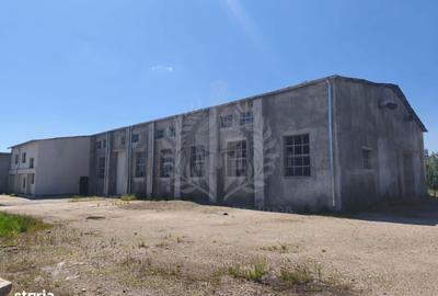 Spațiu comercial, de 962 mp, în Bereasca - 9