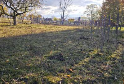 Teren de 1450 mp, în Valea Crișului - 8