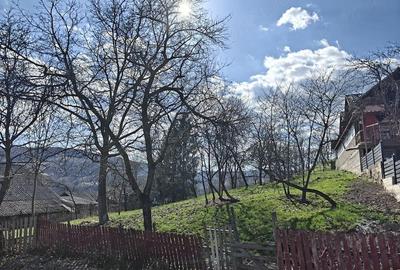 Teren de 900 mp, în Runcu - 2