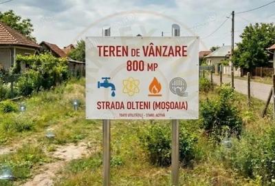 Teren de 800 mp, în Moșoaia
