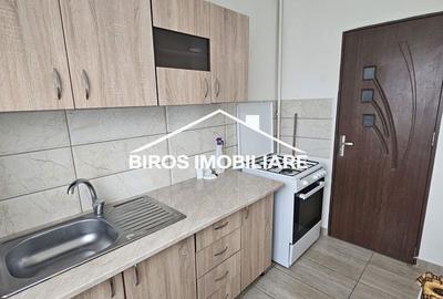 Apartament cu 2 camere semidecomandat în Valea Rosie - 2