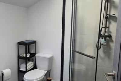 Apartament cu 2 camere semidecomandat, mobilat în Valea Lupului - 2