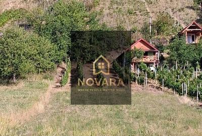 Spațiu comercial, în Tileagd - 1