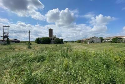 Teren intravilan Hirsova 16.862 mp - 1