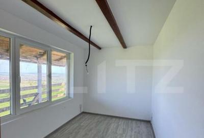 EXCLUSIVITATE! Cabana CHEILE TURZII, teren 8700 mp, privelis - 5