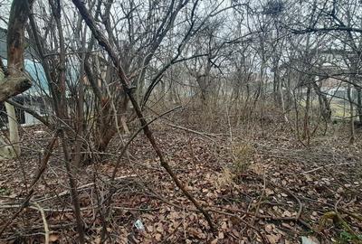 Casa cu curte individuala, teren: 768 mp, in Andrei Muresanu - 3