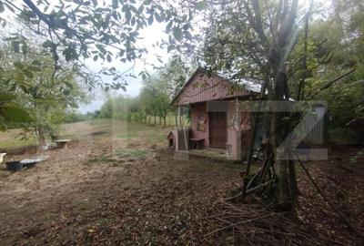 Cabana + teren intravilan, 50 ari, oras Beclean - 1