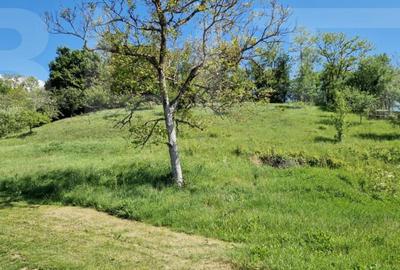 Casa de Familie | 175 mp + Curte 3166 mp | Tatara?ti, B - 3