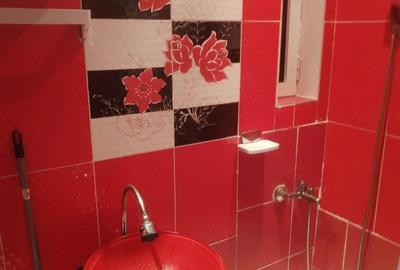 Garsonieră în Cișmigiu - 3