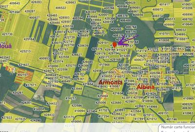 Teren de 1002 mp, în Moșnița Nouă - 2