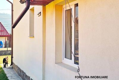 Casă cu 6 camere cu Teren 1000 Mp în Vest - 18