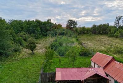 Casă  cu 5 camere de vânzare in Apos - 7