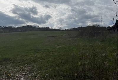 Spațiu comercial, în Gârcina - 2