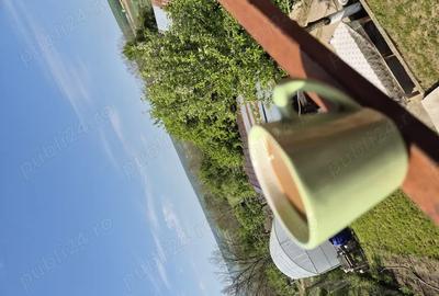 Casa de vanzare Coserele Prahova - 8