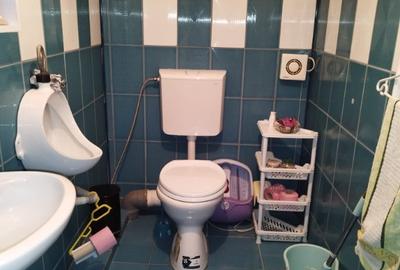 Casă cu 3 camere cu Teren 1700 Mp în Săbișa - 4