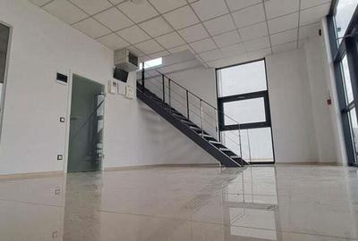 Spatiu de depozitare si productie Mogosoaia - 2