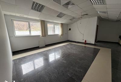 Spațiu comercial, de 90 mp, în Decebal - 4