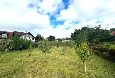 Vanzare teren investitie retail in Gura Humorului - Bld. Bucovinei - 14