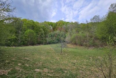 Teren superb, intravilan - la marginea padurii ! - 9