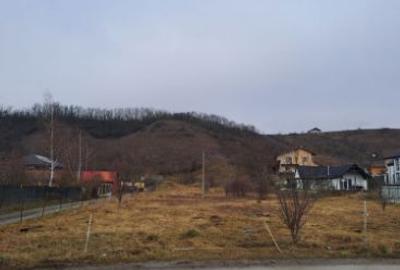 Teren intravilan pentru constructii in Sinnicoara - Sub Coasta, Apahida - 2