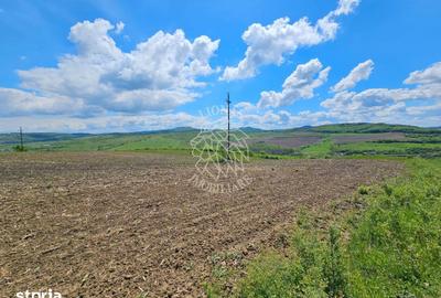 Teren de 5800 mp, în Șieu - 1