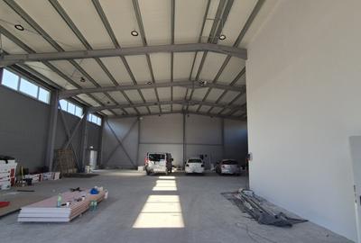 Hala Noua de Inchiriat | Pallady-Drum Intre Tarlale | 600MP - 8