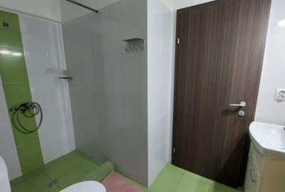 Apartament cu 2 camere semidecomandat, mobilat în Bună Ziua - 12