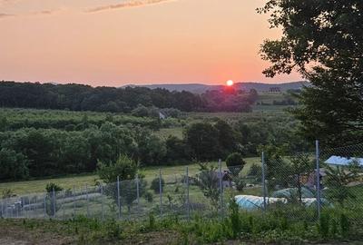 Teren de 2700 mp, în Tălmaciu - 5