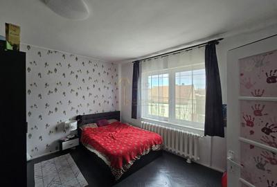 Satu Mare, Zona Titulescu, Oportunitate pentru familie mare sau firme. - 18