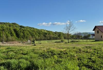 Casă cu 3 camere cu Teren 3100 Mp în Făurești