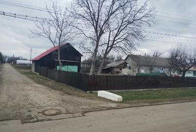 Casă cu Teren 3976 Mp în Dumbrăvița - 7