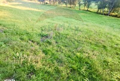 Teren de 6900 mp, în Ocna Șugatag - 5