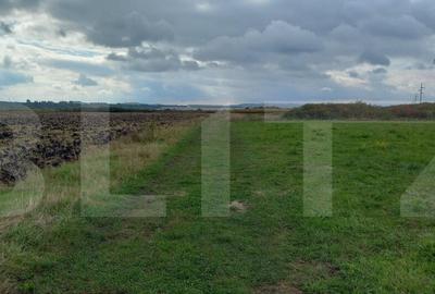 Blitz propune spre vanzare teren extravilan in Jucu 2877mp, - 2