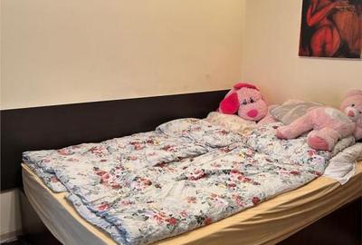 Casă cu 7 camere cu Teren 510 Mp în Paleu