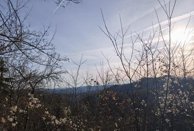 Teren intravilan Breaza 4,000mp cu  utilitati. Panorama superba. Intimitate. - 8
