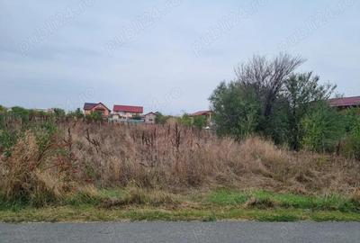 Vanzare Teren Rezidential 1Decembrie Ilfov 2400mp - 2