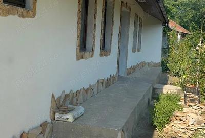 Casa de vanzare - 1