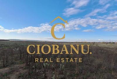 Parcele de teren intravilan de vanzare zona Preajba - 3