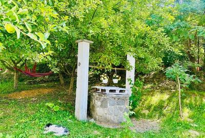 Pensiune de vânzare în Breaza – Relaxare și natură la superlativ - 4