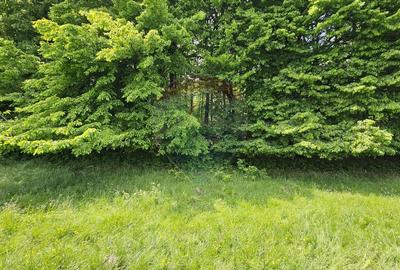 Teren Ilisesti  7000mp extravilan/ DN 17, Suceava - 16