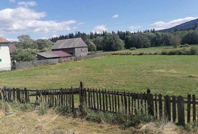Teren de 1700 mp, în Izvoru Mureșului - 3