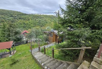 Cabana 62 mp construiti, teren de 750 mp, Valea Ierii - 3