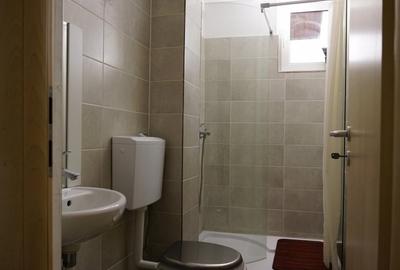 Apartament cu 2 camere semidecomandat, mobilat în 1 Mai - 3