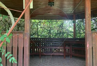 DE VANZARE Vila de vacanta in Pucioasa /Dambovita - 52