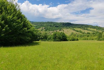 2,2 HA TEREN EXTRAVILAN FANEATA, Muntii Apuseni, Ciucea - Cluj, la 5 km de E60 - 9
