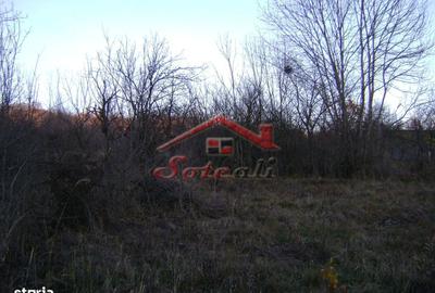 Teren de 2313 mp, în Central - 2