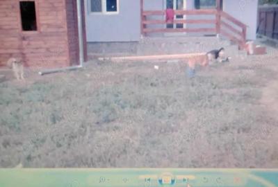 Casă cu Teren 535 Mp în Mușcel - 2